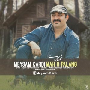 دانلود آهنگ میثم کاردی به نام ماه و پلنگ